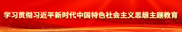 空姐自慰被强奸视频网站学习贯彻习近平新时代中国特色社会主义思想主题教育